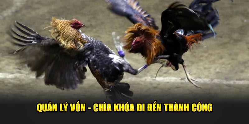 Quản lý vốn - Chìa khóa đi đến thành công