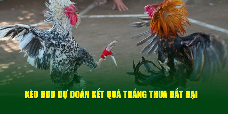 Kèo BDD dự đoán kết quả thắng thua bất bại 